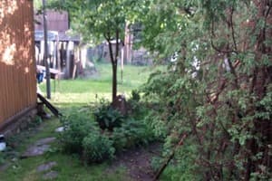 Над прутом 1