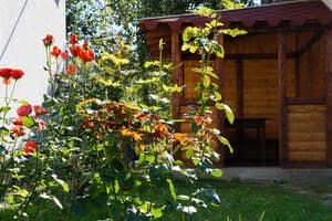 Охотничий Двор 8