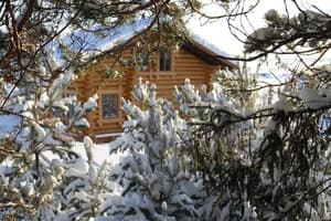 Опушка Леса 3