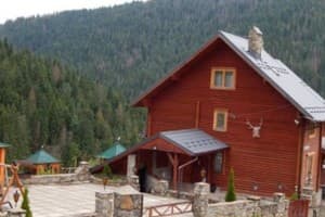 Опушка Леса 1