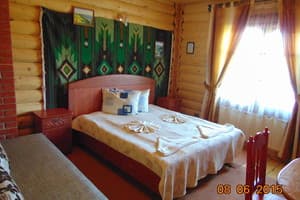Частная усадьба Панорама Карпат. Комфорт двухместный (2+1) 4