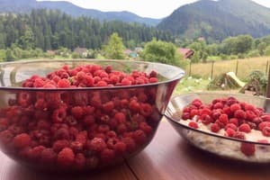 Частный сектор Панорама Маґура. Коттедж 7-местный (7+1) 13