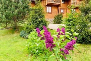 Панская усадьба 10