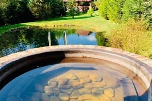 Панская усадьба 13