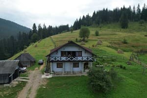 Частная усадьба Перлина гір