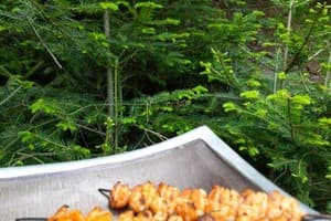 Перлина гір 2