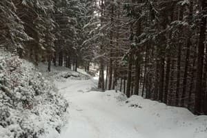 Перлина гір 7