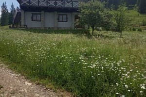 Перлина гір 11