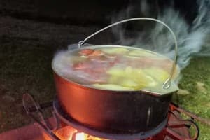 Перлина гір 26