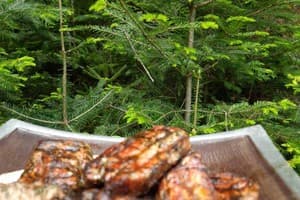 Перлина гір 30