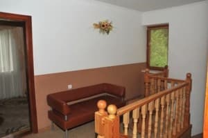 Первоцвет 2