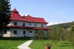 Первоцвет 16