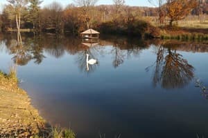 Під Боржавою 1