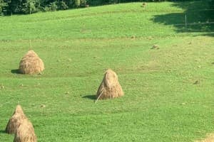 Під Боржавою 14