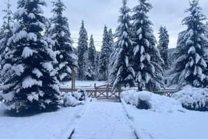 Під Говерлою 2