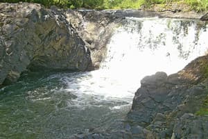 Під Соколією 4