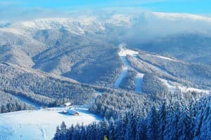 Під Соколією 2