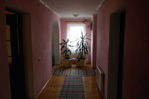 Під Ялиною 1