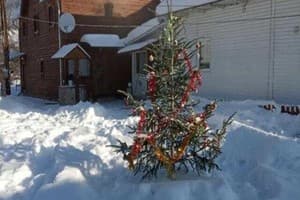 Частная усадьба Подкова