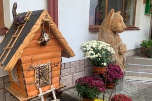 Полярис 5