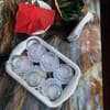 Полярис 51-52/56
