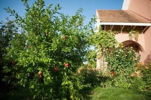 Polychka Winehouse 2