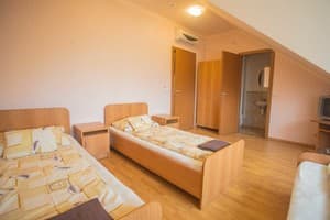 Гостинично-ресторанный комплекс Praktik Hotel & Restaurant. Стандарт 4-местный с раздельными кроватями 1