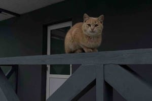 Пригорская усадьба 23