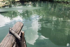 Ра Буковель 4