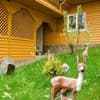 Рай 5-6/46