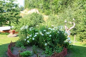 Райский уголок 24