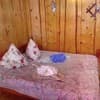 Гостиный двор Райтштоки. Полулюкс трехместный с балконом 5