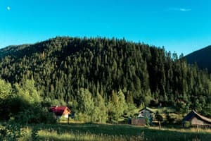 Residence Chalet&Nesh 7