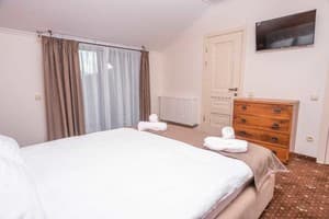 Шале Residence Chalet&Nesh. Комфорт двухместный Nesh №5, №6 4