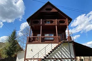 Рись 1
