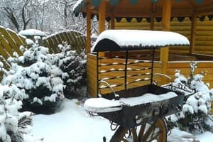 Романтика 11