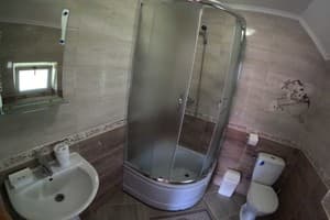 Роня 10