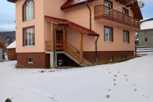 Роня 11