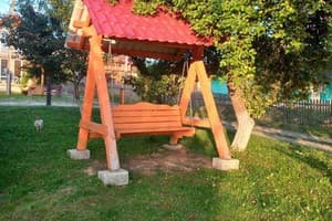 Роня 2