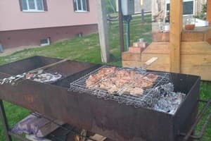 Роня 3