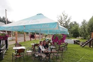 Росы Карпат 10