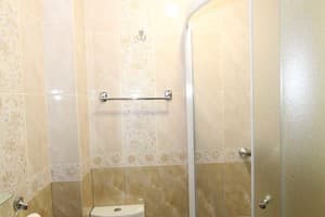 Мини-отель Rosky. Комфорт двухместный № 2 7