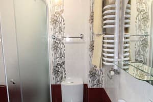 Мини-отель Rosky. Комфорт двухместный №3 9