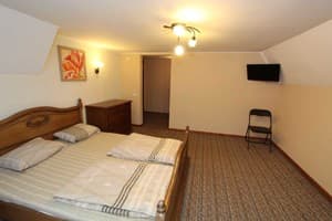 Мини-отель Rosky. Комфорт двухместный №5 4