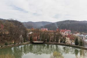 Отель Ruta Resort Polyana. Люкс двухместный  10