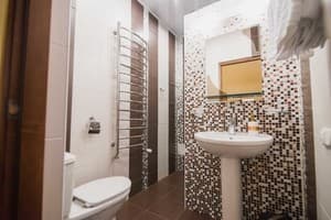 Отель Ruta Resort Polyana. Стандарт двухместный дабл 4