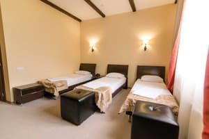 Отель Ruta Resort Polyana. Стандарт трехместный  1