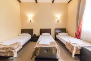 Отель Ruta Resort Polyana. Стандарт трехместный  4