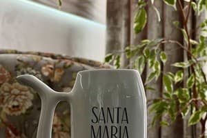 Санта Мария 17