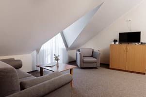 Санаторий Санта Мария. Люкс двухместный двухкомнатный (мансардного типа) 3